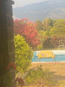 a view of a swimming pool with trees and flowers at Casa Pratolungo in Velletri