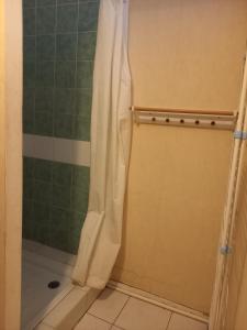 a shower with a shower curtain in a bathroom at Bellevue in Carbon-Blanc