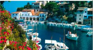 a group of boats docked in a harbor with buildings at Hostal Bernareggi in Cala Figuera +7 photos