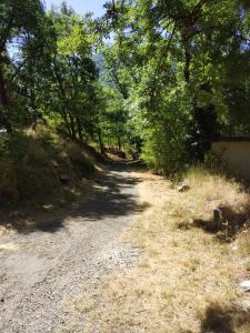 a dirt road with trees on the side at location Ax les Thermes in Ax-les-Thermes
