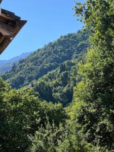 auliculiculiculiculiculiculiculiculiculiculiculiculiculiculic at Cà Dal Vindu in Biella