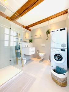 a bathroom with a washing machine and a toilet at Appartement "Loft Seeliebe" in Kreuzlingen +17 photos