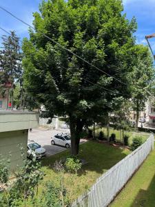 a tree in a yard next to a white fence at Apartment Harmony Sarajevo Vogošća in Vogošća +3 photos