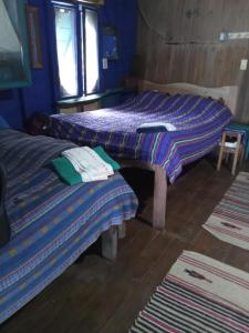 two beds in a room with blue walls at Dorm in Hopkins