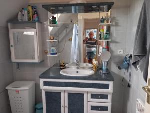 ein Badezimmer mit einem Waschbecken und einer Person im Spiegel in der Unterkunft Chez Patrick in Maizet