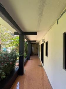 Fotografie z fotogalerie ubytování Hotel mg v destinaci Palenque