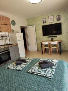 a living room with two mats on the floor of a kitchen at Студио Forest, к-с Нестинарка in Tsarevo