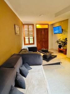 a living room with a couch and a tv at Refugio Andino in Tupungato