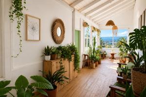 a hallway with potted plants in a building at Silvestre Hostel in Pichilemu