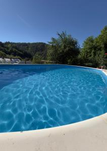 a pool of blue water with trees in the background at Vila Montana Valiug in Văliug