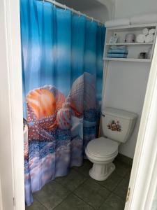a bathroom with a toilet and a blue shower curtain at Shoreline Suites in Digby +22 photos