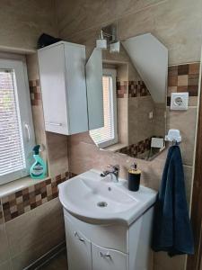 a bathroom with a sink and a mirror at Fűzfa Apartmanház in Tamási