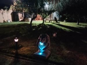 a statue of a girl with a blue light in the grass at Remedios de Luna in Antimio de Arriba