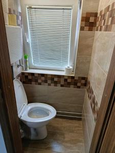 a small bathroom with a toilet and a window at Fűzfa Apartmanház in Tamási