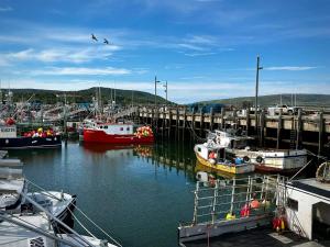a group of boats are docked in a harbor at Shoreline Suites in Digby