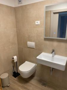 a bathroom with a toilet and a sink and a mirror at Apartment Sinčić in Novigrad Istria +36 photos