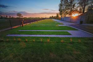 a row of plants in the grass with the sunset at SCANDINAVIA Camping in Zator +43 photos