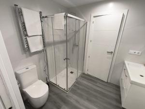 a white bathroom with a shower and a toilet at Xeliña B in A Estrada