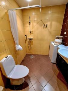 a bathroom with a toilet and a sink and a shower at 50 ruutmeetrit in Tallinn