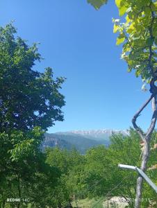 a view of the mountains through the trees at Narine Bed and Breakfast, Tour in Tatʼev