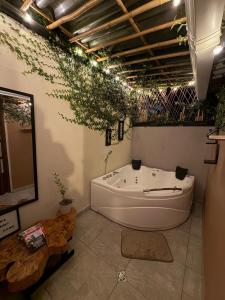 a large bath tub in a bathroom with plants on the wall at Inn Home Aparta-Suite in Salento