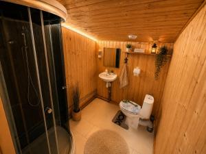 a bathroom with a shower and a toilet and a sink at Kempink U Šerifa in Protivín