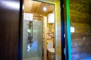 a bathroom with a toilet and a walk in shower at DejaView Casa Veche in Rogojel