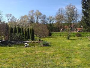 a grassy field with a pond in a park at Alt Dwinge in Zwinge +4 photos