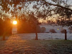 a snowy field with the sun setting behind a tree at La Source in Angoville