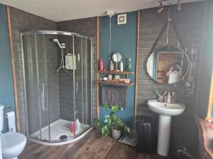 a bathroom with a shower and a sink and a mirror at Cottage on the hill in Carlow