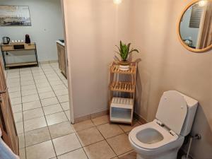 a bathroom with a toilet and a mirror at 18 on Asbestos in Nelspruit