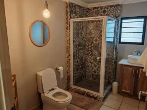 a bathroom with a toilet and a shower at 18 on Asbestos in Nelspruit