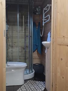 a bathroom with a shower and a toilet and a sink at domik in Lapmežciems