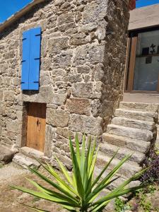 a stone house with blue shutters and a plant at Entrerobles - Casiña Cereixa in La Cañiza