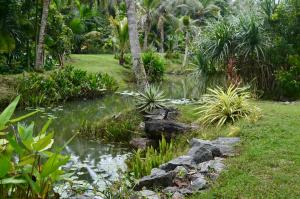 a pond in the middle of a garden at Luminosium Nature Retreat & Heritage Forest Garden in Pannala