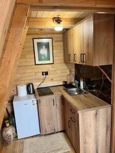 a small kitchen with a sink and a refrigerator at Podgoricka Koliba in Mosor