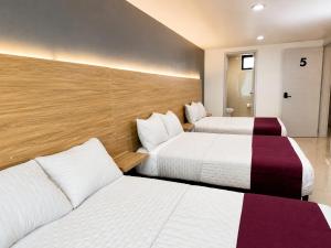 two beds in a hotel room with white and purple at Hotel Casa Galeana Centro con Estacionamiento Privado in Aguascalientes