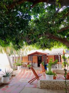 a patio with chairs and trees and a building at Cabaña Florez in Santa Marta