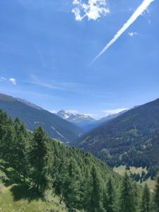a view of a valley with trees and mountains at Appartamento TreZero in Valfurva