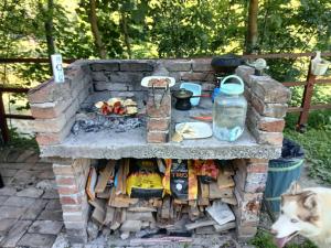 ein gemauerter Grill, neben dem ein Hund steht in der Unterkunft Max in Bihać