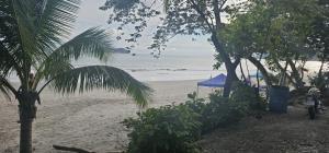 a beach with a blue tent and the ocean at Apartment Torres in Manuel Antonio