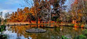 a pond with a tree in the middle of it at La Elegida Villars in General Las Heras