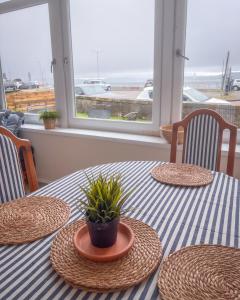 a table with plates and a potted plant on it at Vistamar Dunoon in Dunoon
