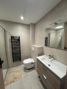 a bathroom with a sink and a toilet and a mirror at Les Loges de Sainte Anne in Saint-Michel-de-Maurienne +10 photos