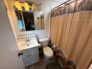 a bathroom with a toilet and a sink and a mirror at DiscoCat Studios in Ocracoke +66 photos