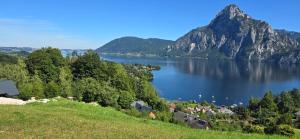 a view of a lake with houses and mountains at Ferienwohnung-Edna-Traunkirchen in Traunkirchen