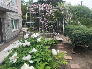 Gallery image of Apple guesthouse in Budapest