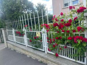 Gallery image of Apple guesthouse in Budapest +50 photos