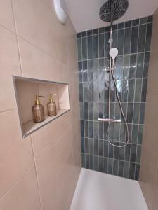 a bathroom with a shower with a shower head at Les arches in Riom