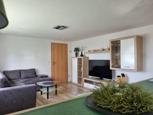 a living room with a couch and a tv at Ferienwohnung Lolek in Brilon